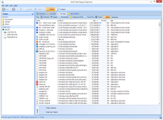 Showing the AVG PC Tuneup list with file types in the Disk Space Explorer module